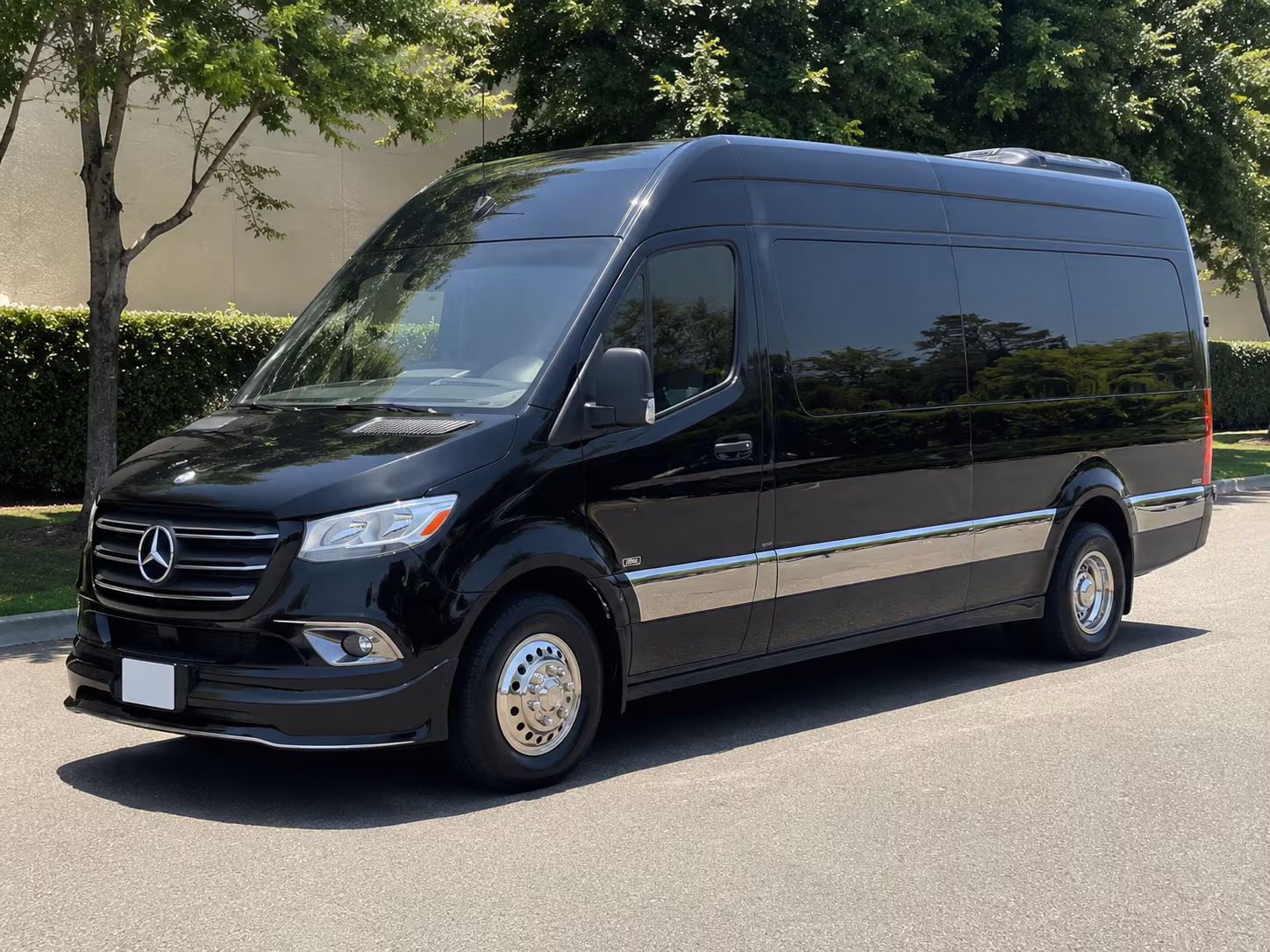 15 passenger sprinter van